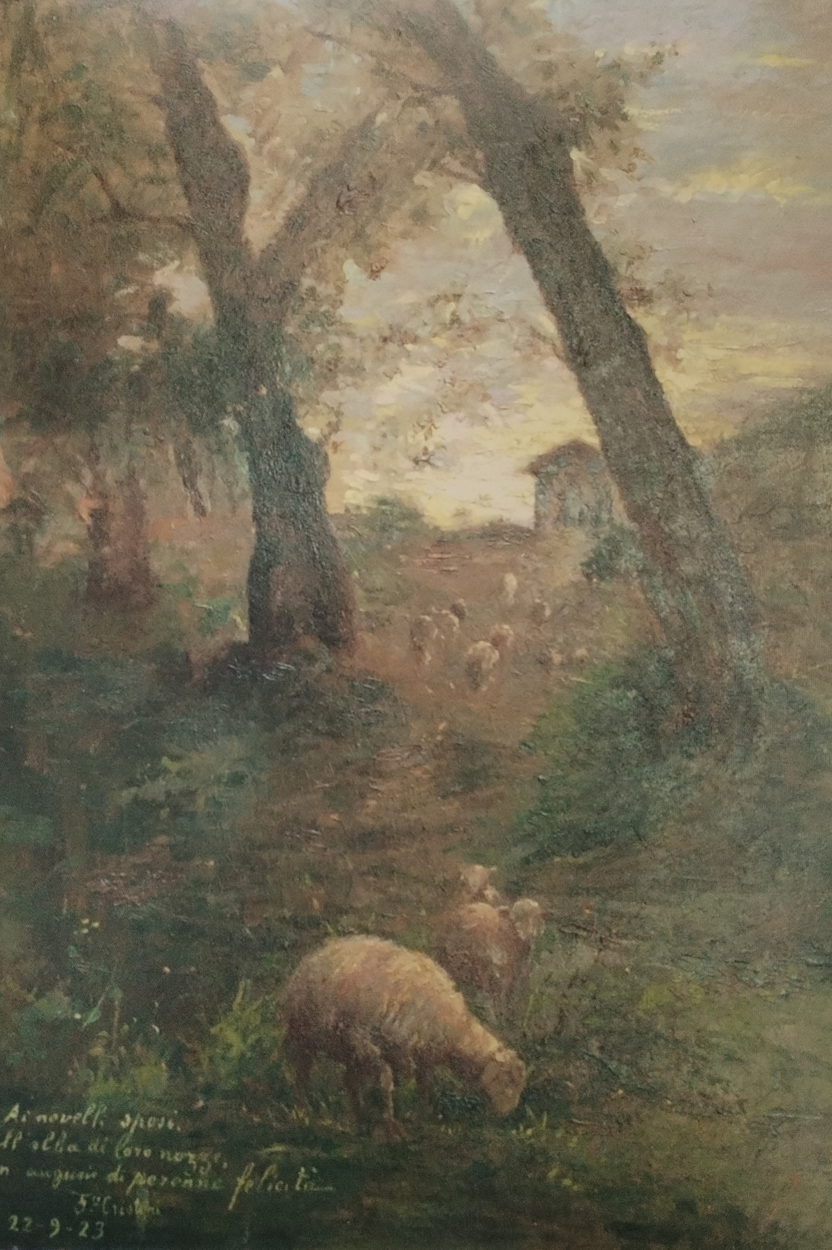 Pecorelle al pascolo - Riproduzione da ritaglio di libro - olio su tavoletta - 1923