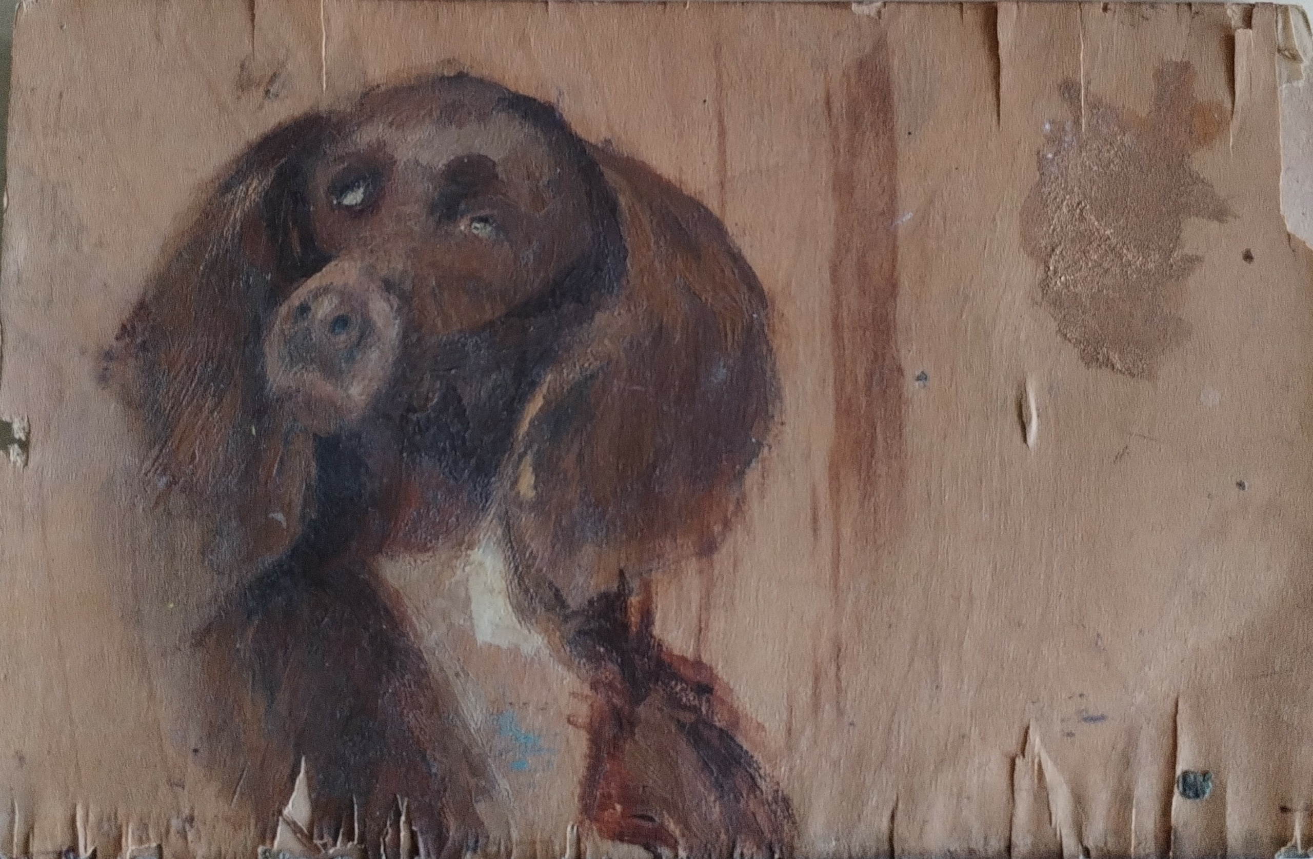 Francesco Cristini - Cagnolina - s.d.