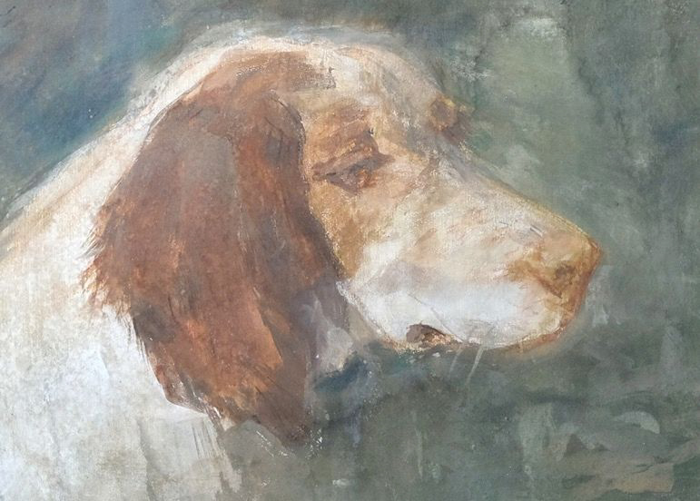 Testa di cane - olio - 34,5x25 cm - s.d.