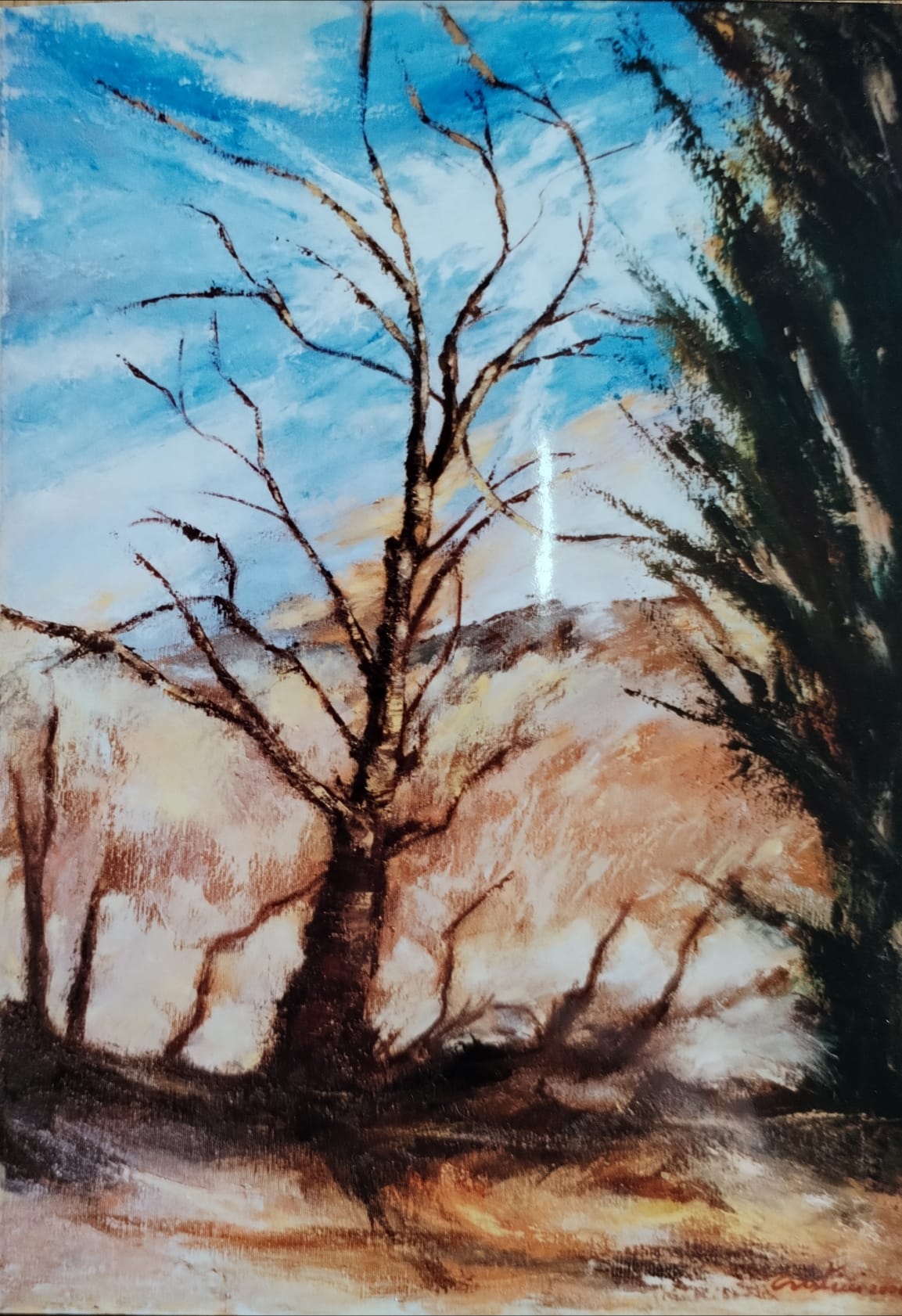 Natura bella e selvaggia