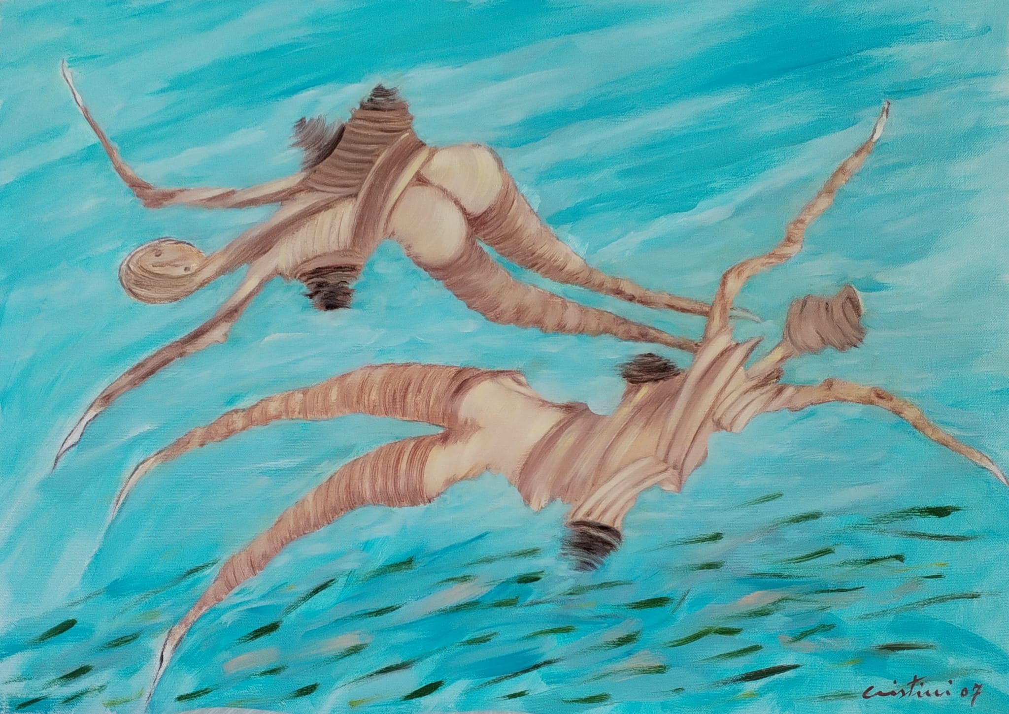 Dallo spazio alla terra