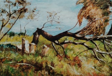 L’albero abbattuto