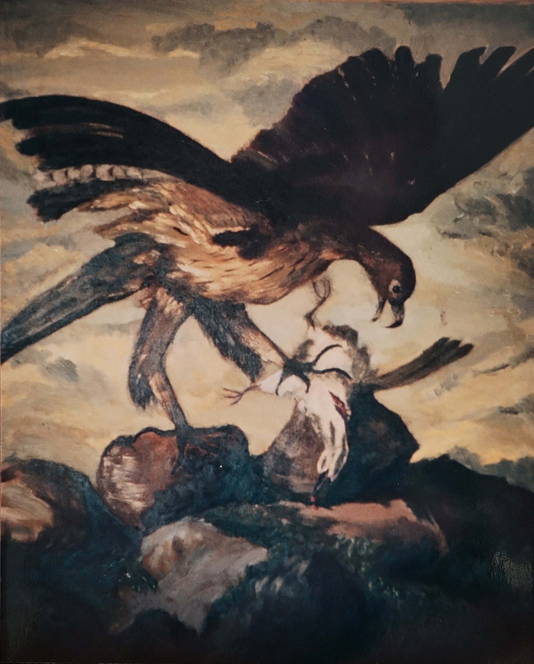 Rapace si ma non colpevole